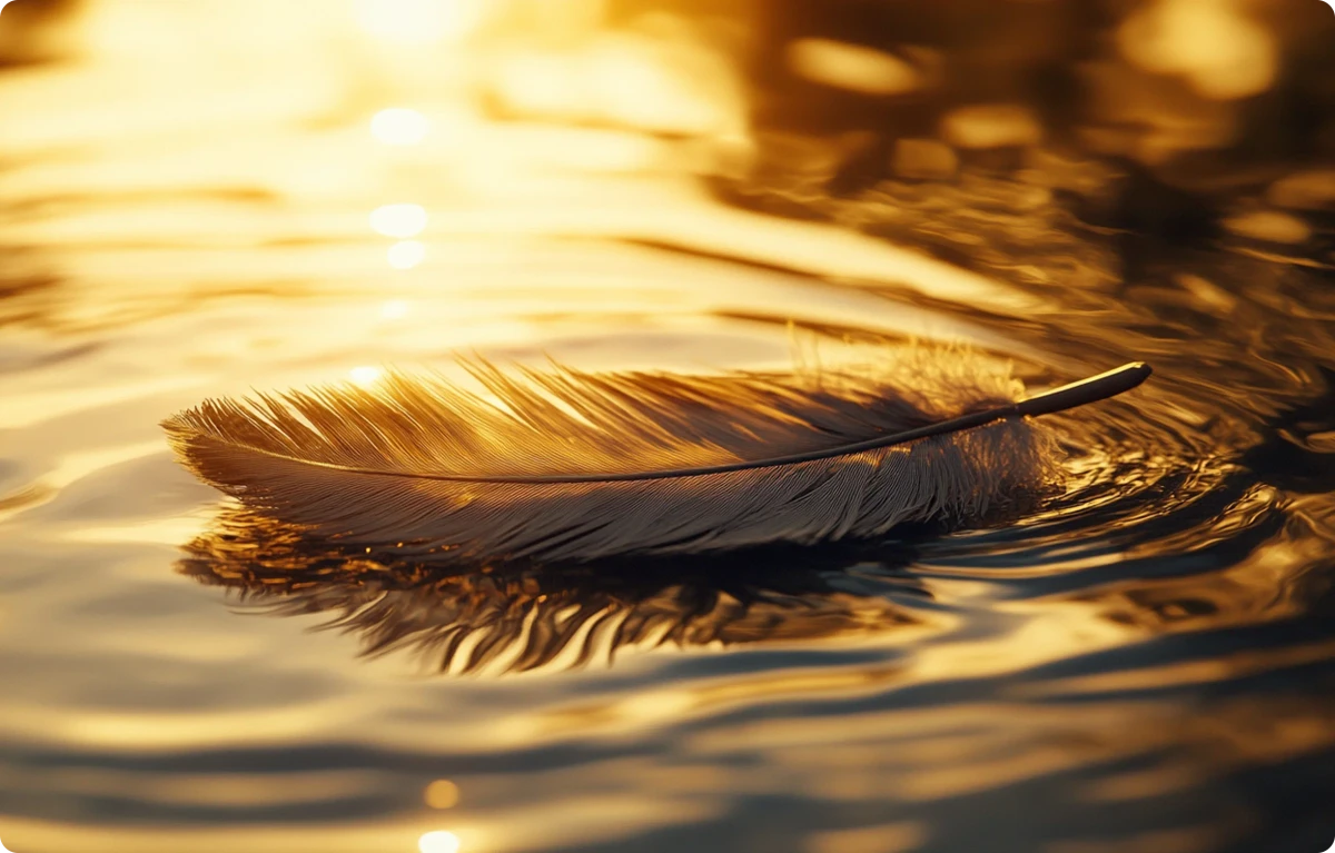 Feather in water